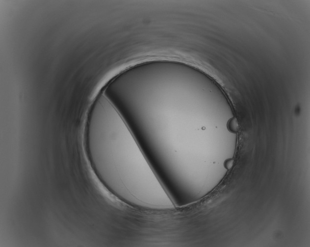 X0000090421523200707130935