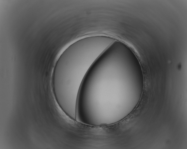 X0000090421524200707130935