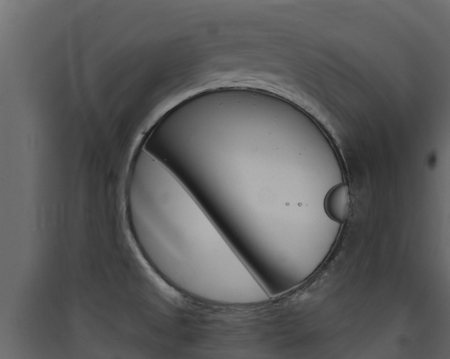 X0000090421525200707130935