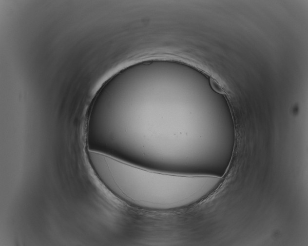 X0000090421526200707130935