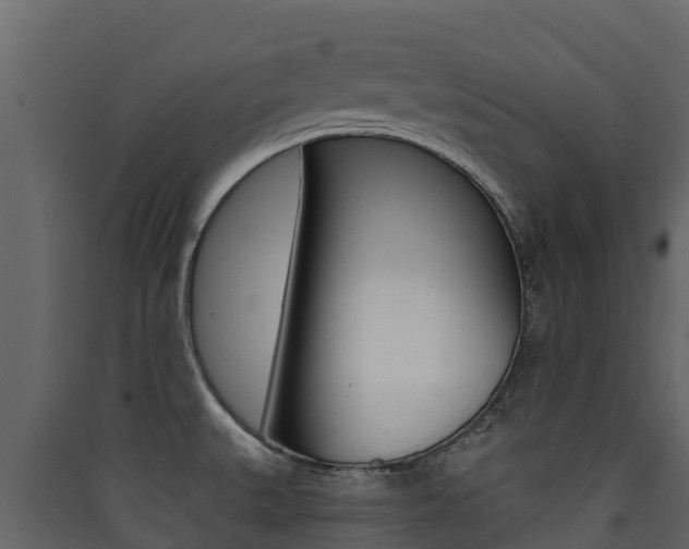 X0000090421527200707130936