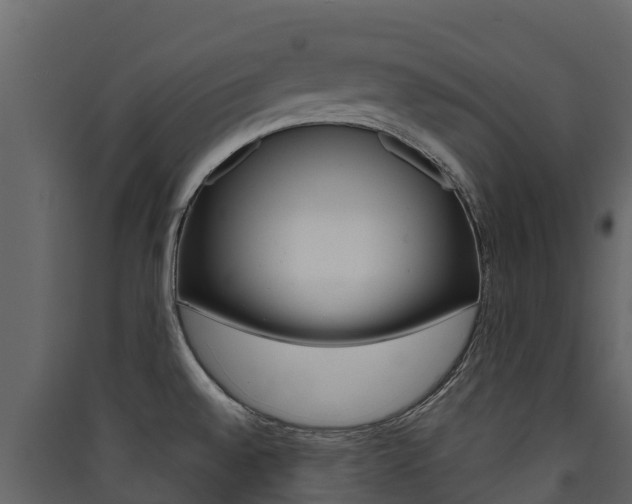 X0000090421528200707130936