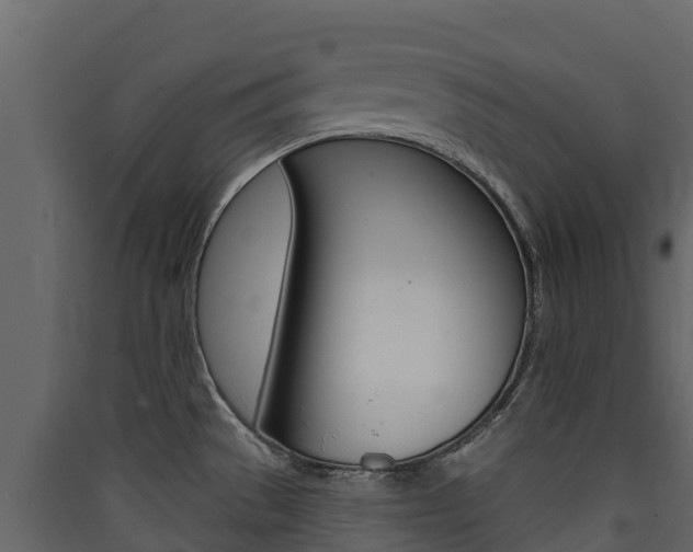 X0000090421529200707130936
