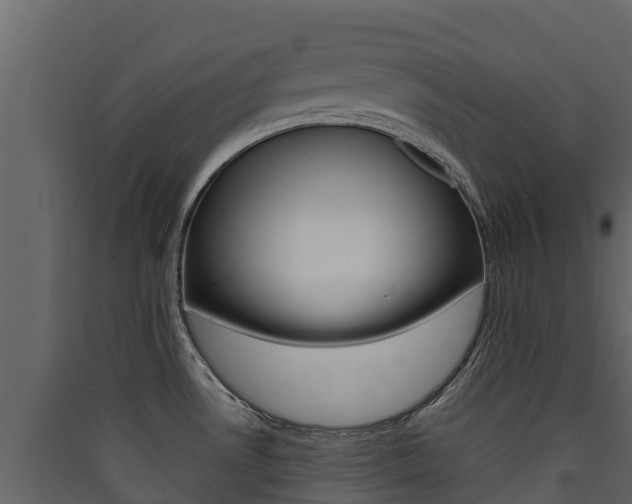 X0000090421530200707130936