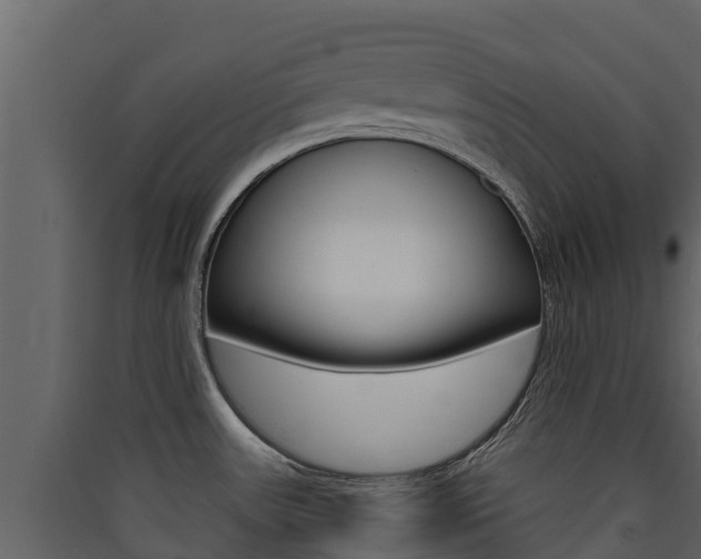 X0000090421531200707130936