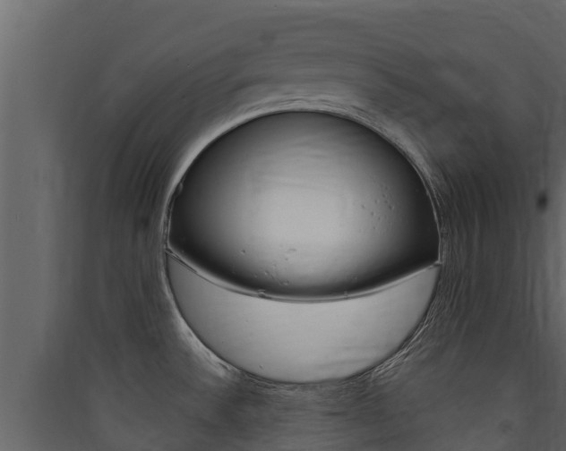 X0000090421532200707130936
