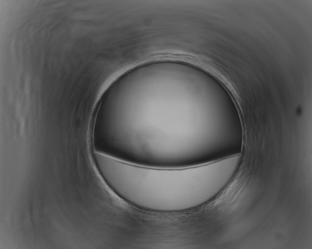 X0000090421533200707130936