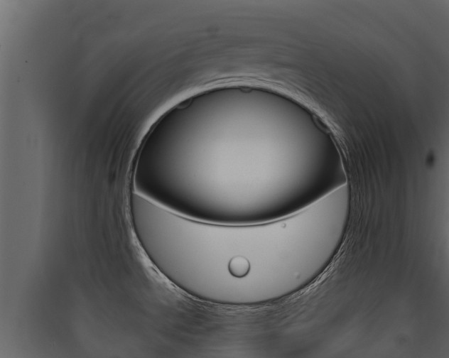 X0000090421534200707130936