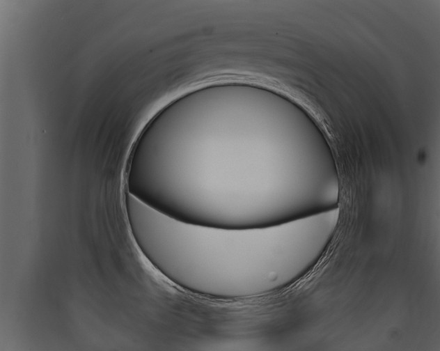 X0000090421535200707130936