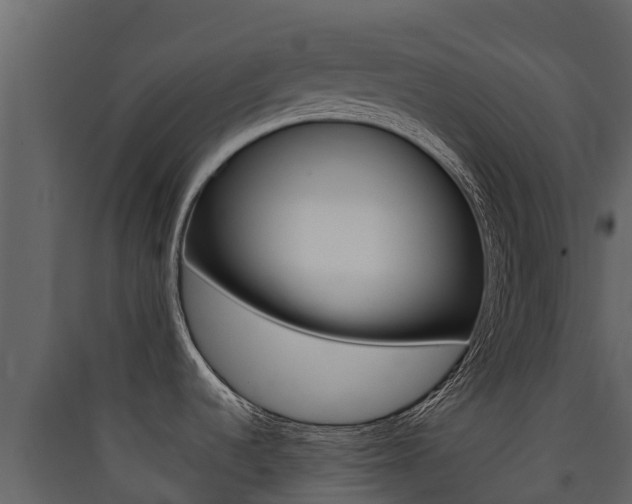 X0000090421536200707130936