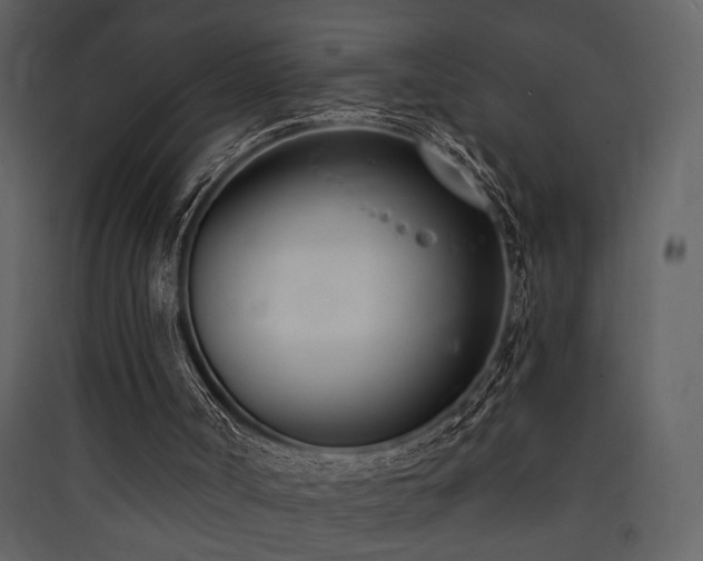 X0000090420002200707131218