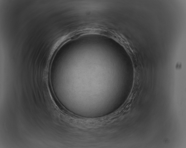 X0000090420003200707131218