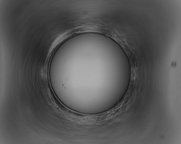 X0000090420004200707131218