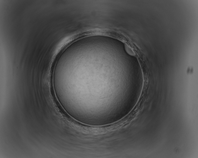 X0000090420006200707131218