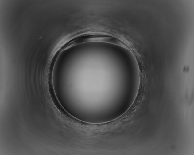 X0000090420007200707131218