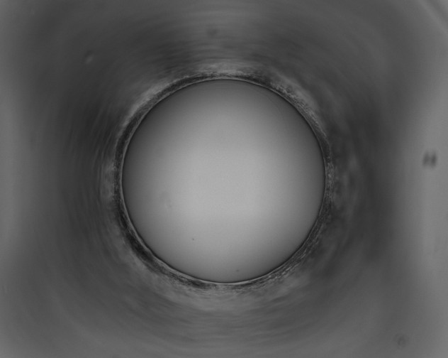 X0000090420012200707131218