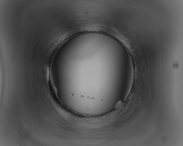 X0000090420013200707131218