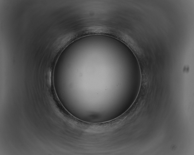 X0000090420014200707131218