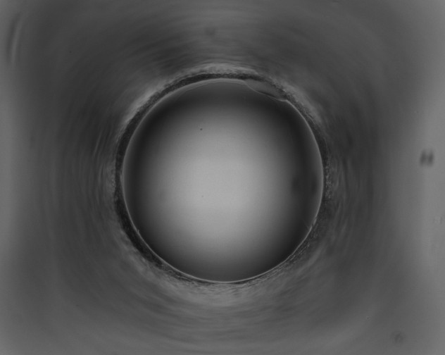 X0000090420015200707131218