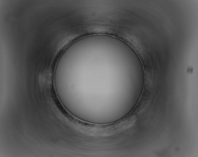 X0000090420016200707131218