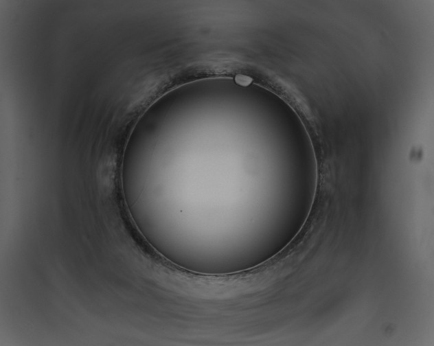 X0000090420018200707131218