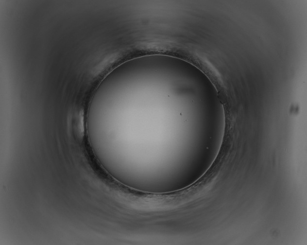 X0000090420020200707131218