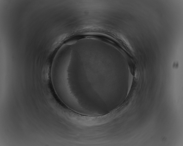 X0000090420023200707131218