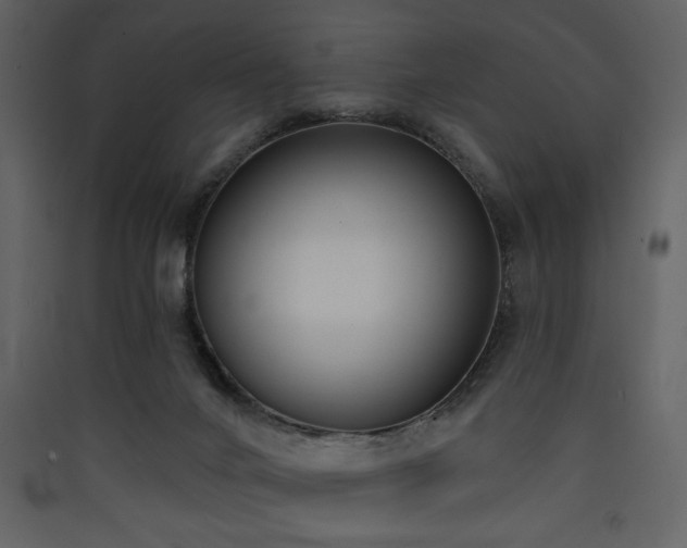 X0000090420024200707131218