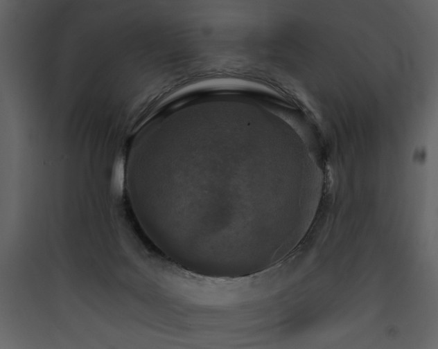 X0000090420027200707131218