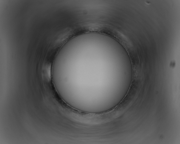 X0000090420028200707131218