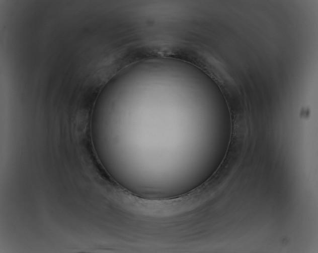 X0000090420030200707131218