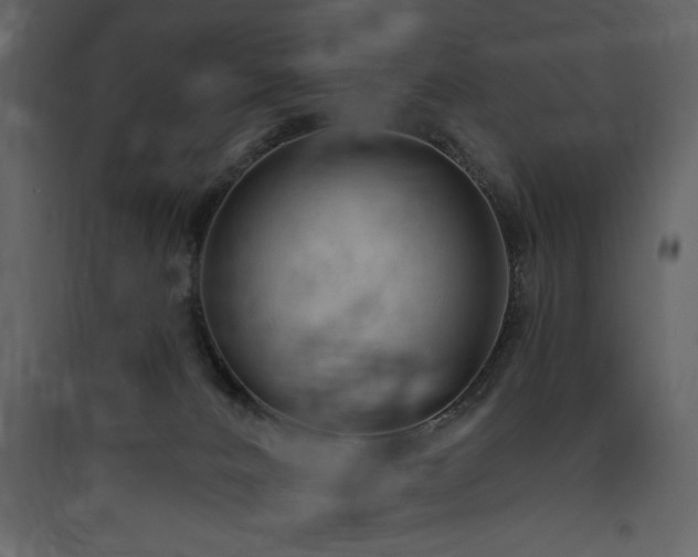 X0000090420032200707131218