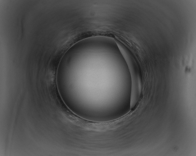 X0000090420033200707131218