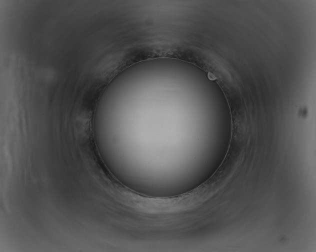 X0000090420034200707131218