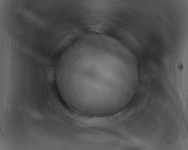 X0000090420036200707131218
