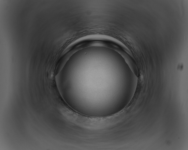 X0000090420037200707131218