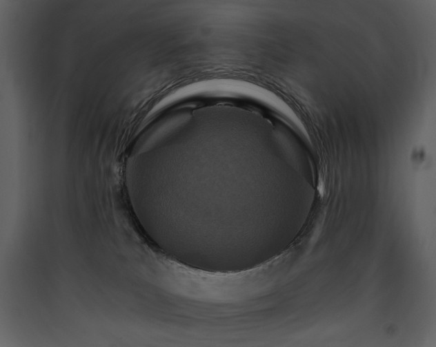 X0000090420039200707131218