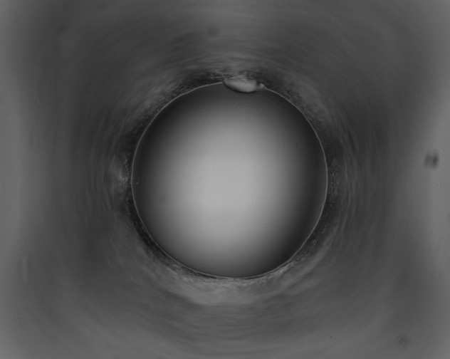 X0000090420040200707131218