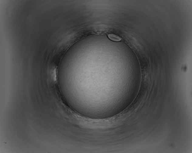X0000090420042200707131218