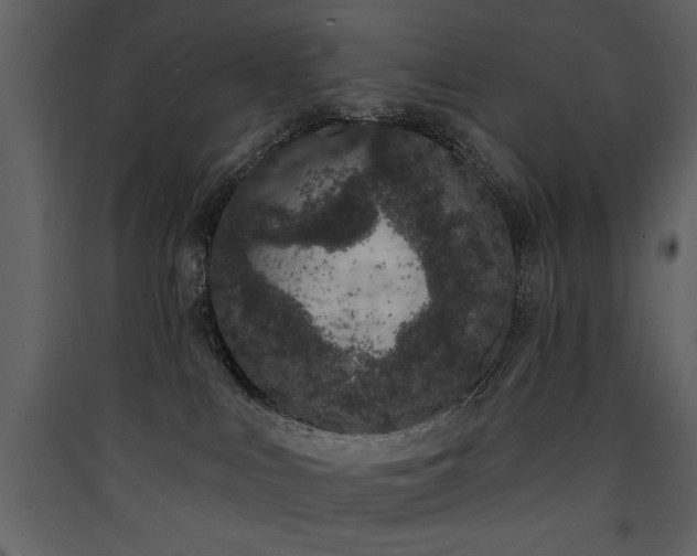 X0000090420043200707131218