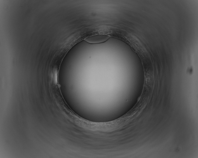 X0000090420046200707131218