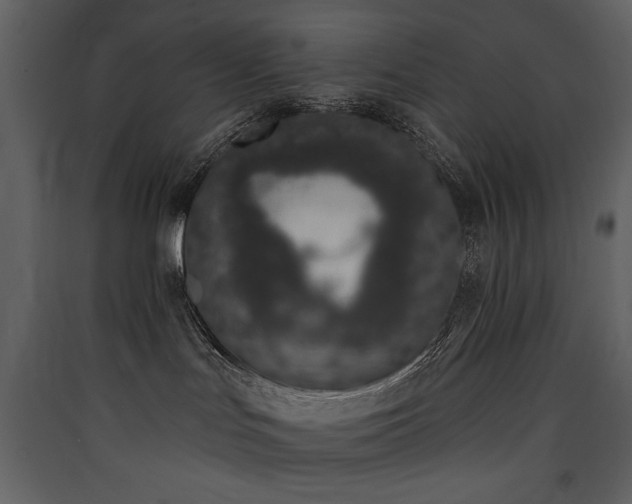X0000090420047200707131218