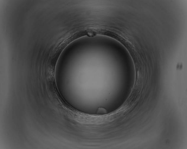 X0000090420048200707131218