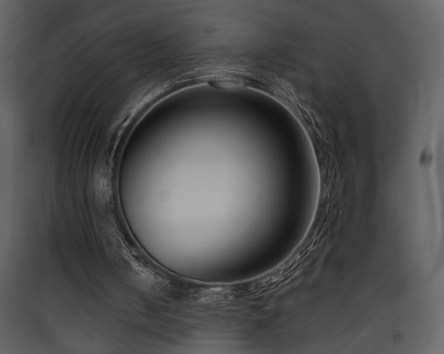 X0000090420050200707131217