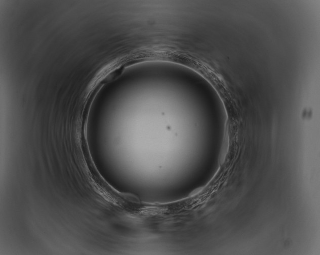 X0000090420051200707131217