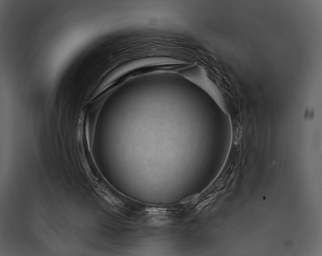 X0000090420052200707131217