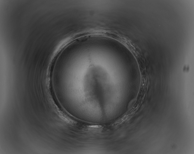 X0000090420053200707131217