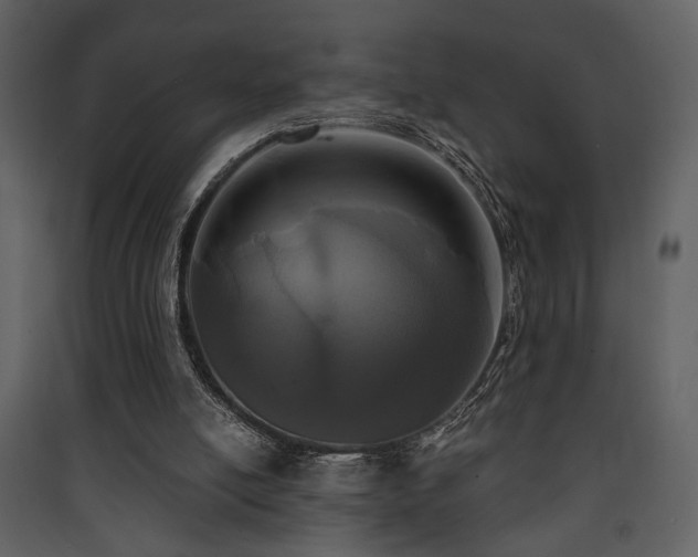 X0000090420054200707131217
