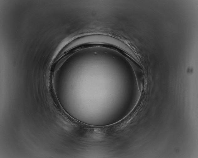 X0000090420056200707131217