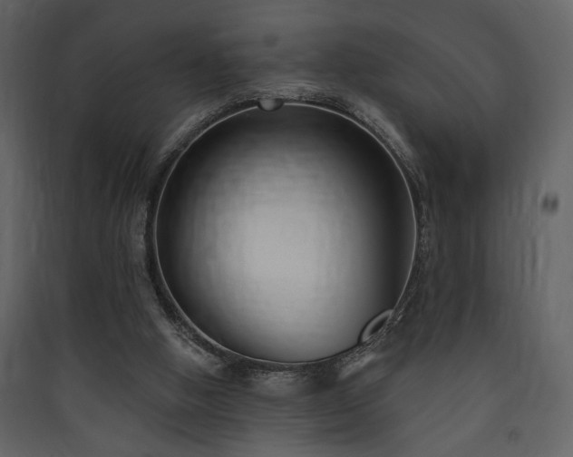 X0000090420058200707131217